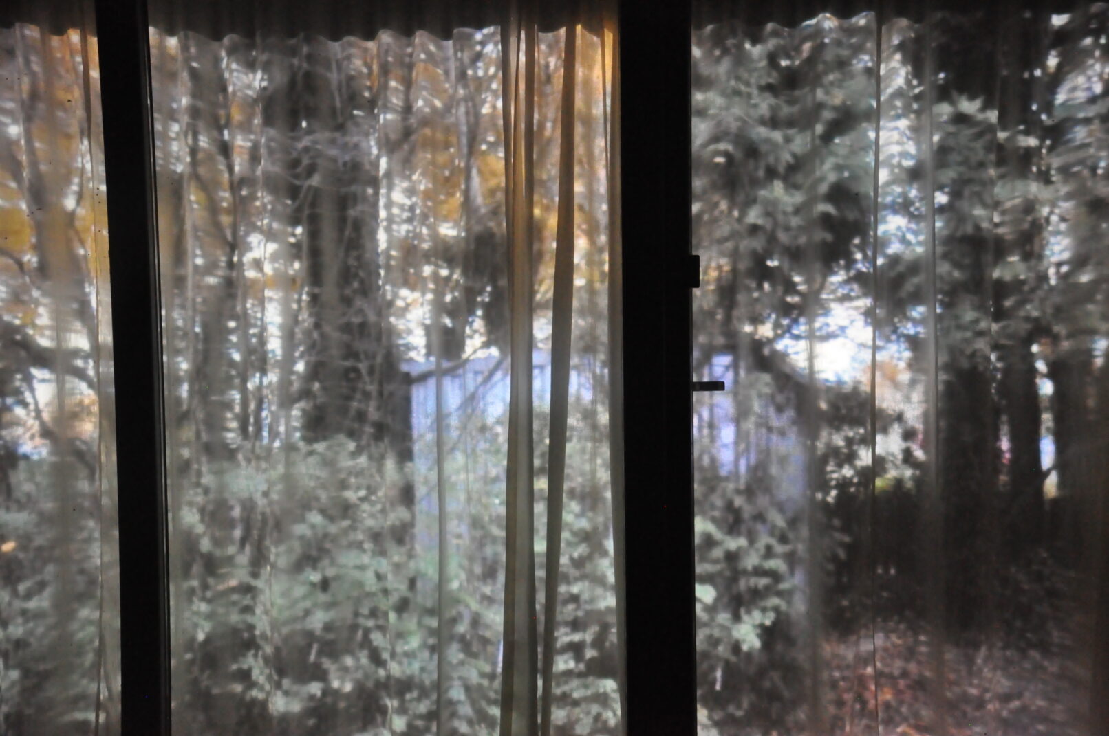 landschaft-im-haus-reikoyamaguchi